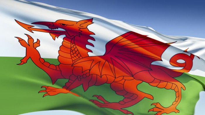 wales flag_pm0308 FULL.jpg