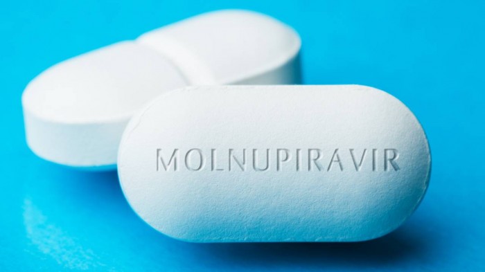 molnupiravir summary.jpg